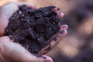Sfeerbeeld van zwarte zand in de handen van een tuinprofessional